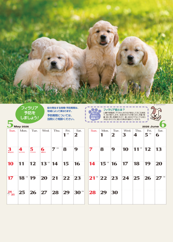 No.7420/7421/7422 フィラリアプランカレンダーVOL.1 【小型】