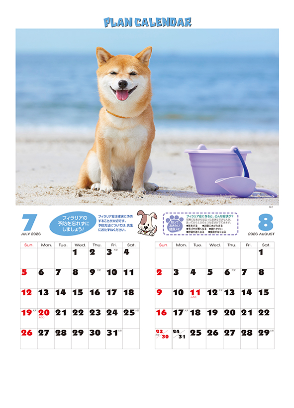 No.7427 フィラリアプランカレンダー 【大型】