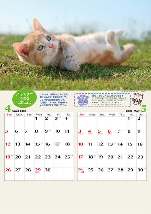 No.7425/7426 ヘルスカレンダー My Lovely Cat 【小型】