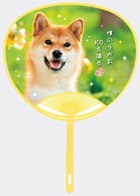 No.1405柴犬