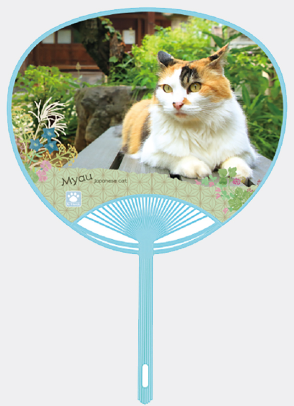 No.1412日本猫